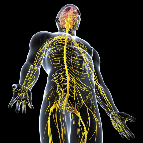 Physiotherapy & Chiropractic Treatments for Nerve Physiotherapy & Chiropractic Treatments for Nerve